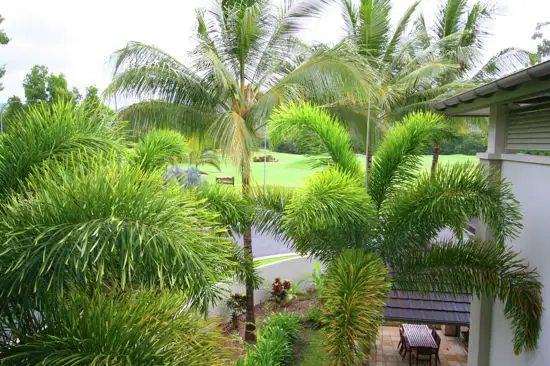 Fifth view of Homely unit listing, 213/214 - 22 Mitre Street, Port Douglas QLD 4877