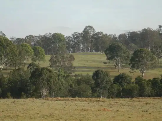 Third view of Homely rural property listing, 182 Plain Station Road, Tabulam NSW 2469