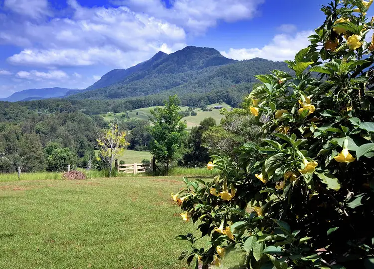 445 Roses Road, Bellingen NSW 2454