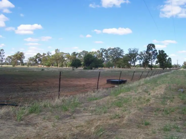 Fifth view of Homely rural property listing, 114-119 Woodstock Rd, Berrigan NSW 2712