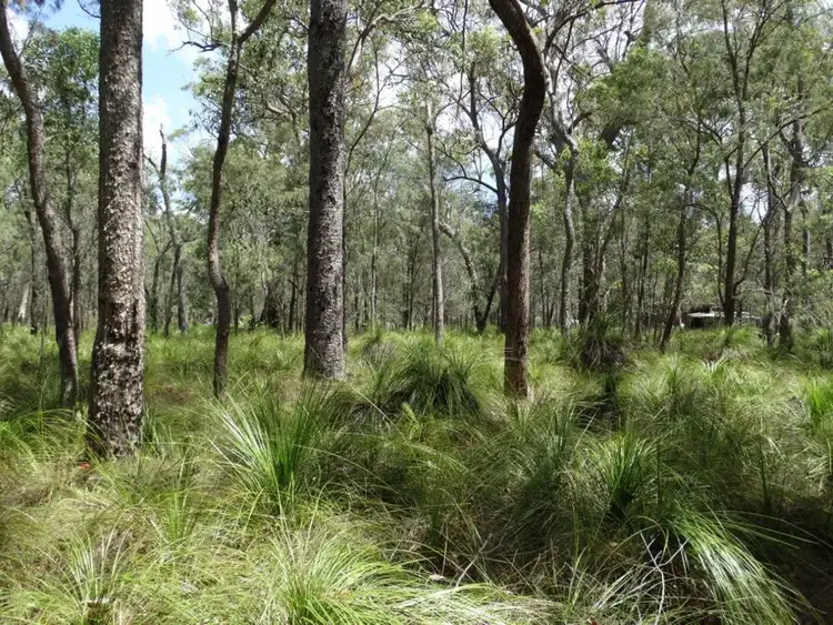 Fifth view of Homely rural property listing, 595 Pacific Drive, Deepwater QLD 4674