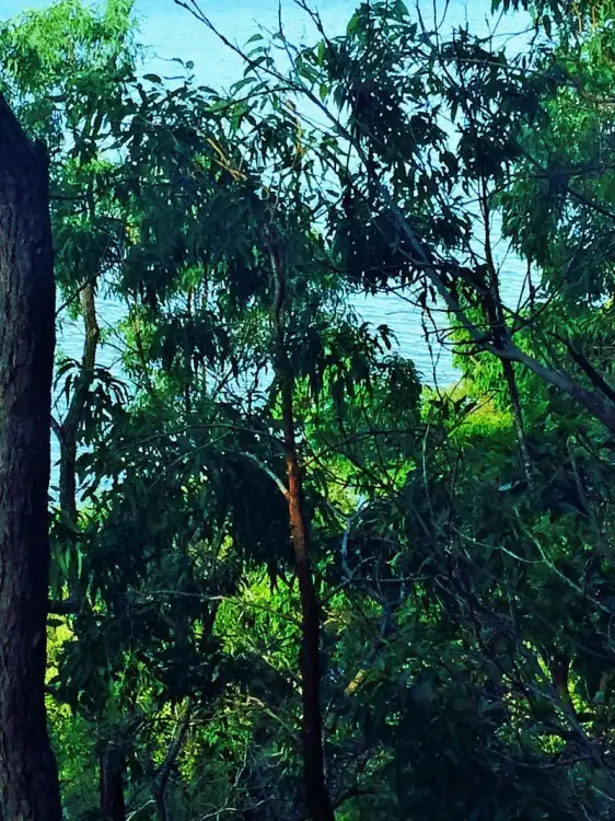 625 Esplanade, Lota QLD 4179
