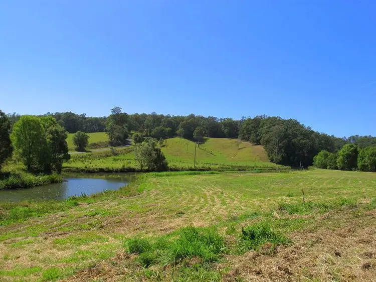 Second view of Homely land listing, 382 North Bank Road, Bellingen NSW 2454