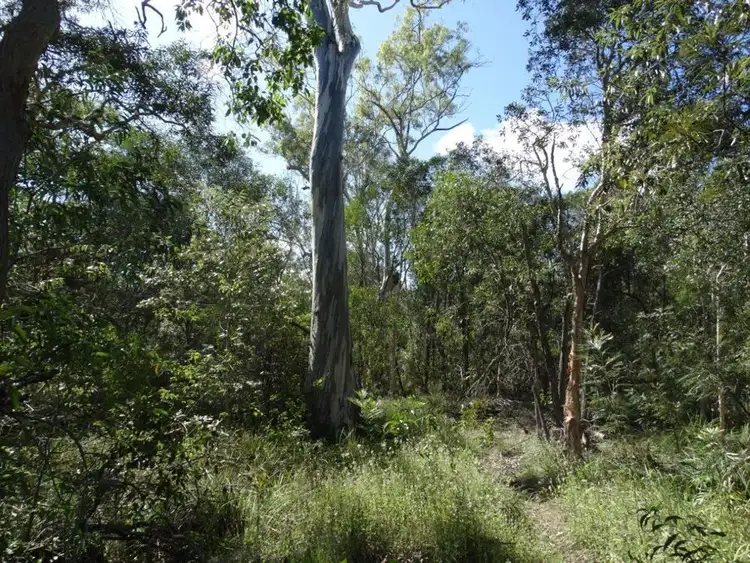 Fifth view of Homely rural property listing, Lot 13 Muller Road, Baffle Creek QLD 4674