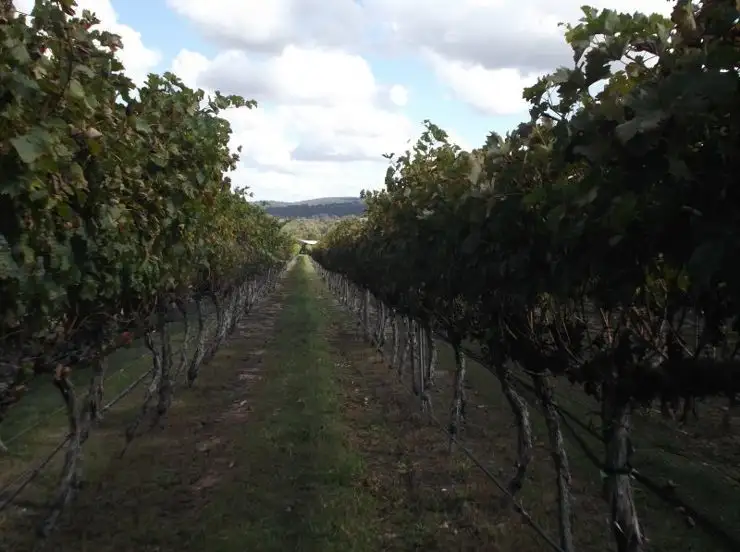 Fourth view of Homely rural property listing, Address available on request