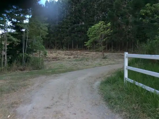 Second view of Homely house listing, 1759 Mossman-Mt Molloy Road, Julatten QLD 4871