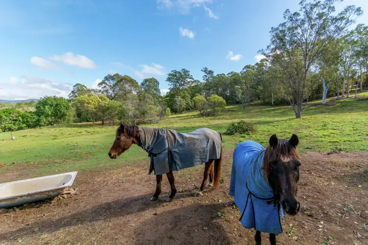 Second view of Homely rural property listing, 5 McCullagh Crescent, Narangba QLD 4504