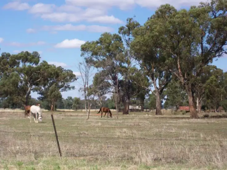 Third view of Homely rural property listing, 114-119 Woodstock Rd, Berrigan NSW 2712