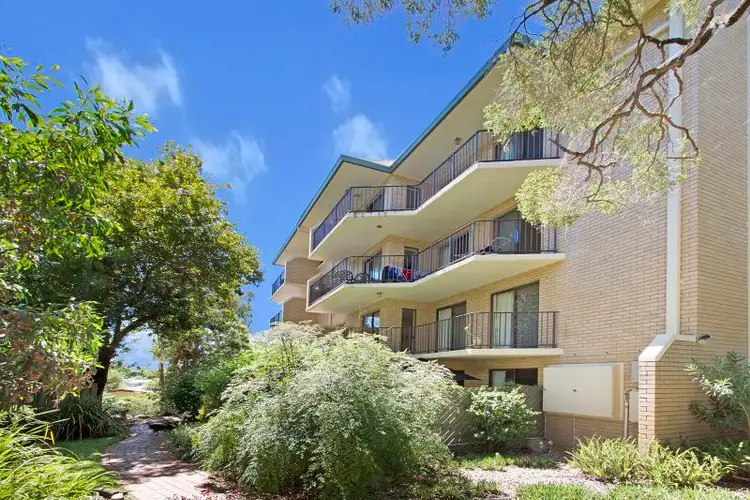 Main view of Homely unit listing, 3/38 Durham Street, St Lucia QLD 4067