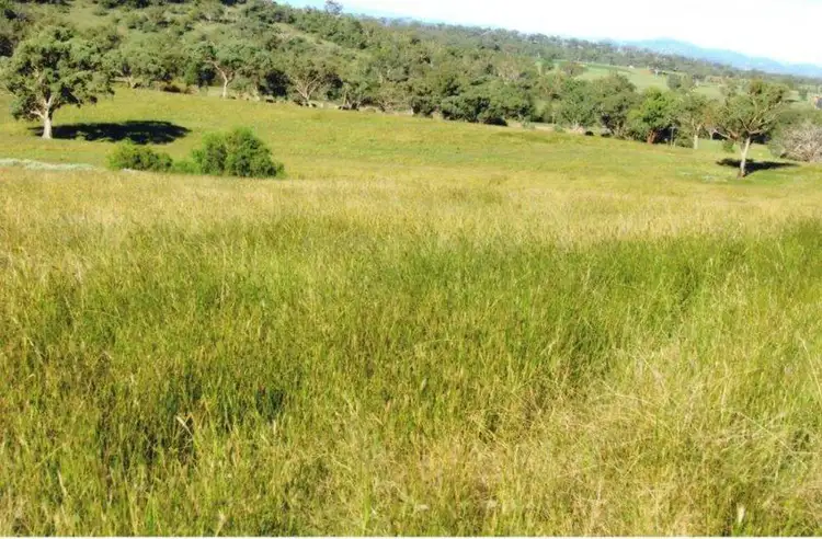 Second view of Homely rural property listing, MOUNTVIEW, Currabubula, Tamworth NSW 2340