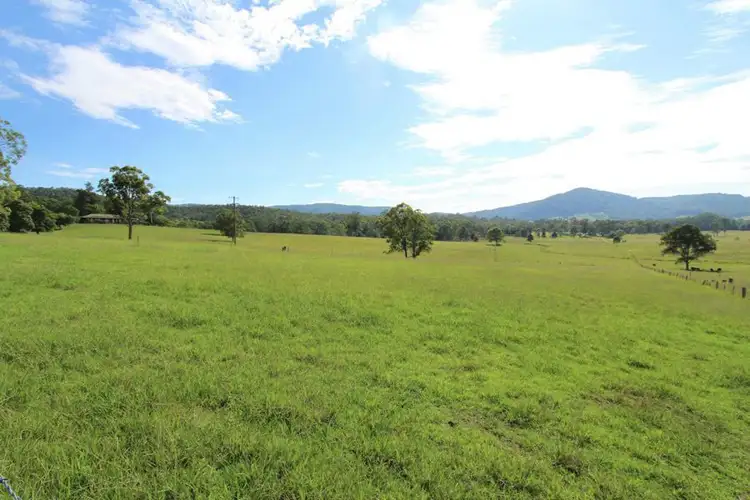 Second view of Homely rural property listing, 105 Kings Creek Rd, Krambach NSW 2429