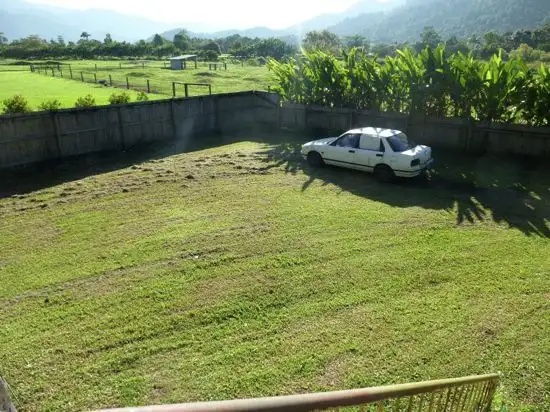 Seventh view of Homely house listing, 291 Bruce Highway, Babinda QLD 4861