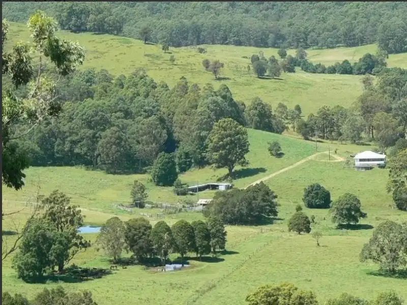 Main view of Homely rural property listing, 189 Saxbys Lane, Kundibakh NSW 2429