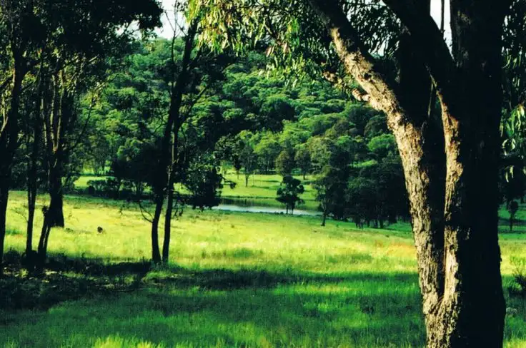 Fourth view of Homely rural property listing, 524 Westbrook  Road, Guyra NSW 2365
