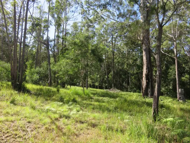Main view of Homely land listing, Lot 18 Tallowood Terrace, Valla NSW 2448