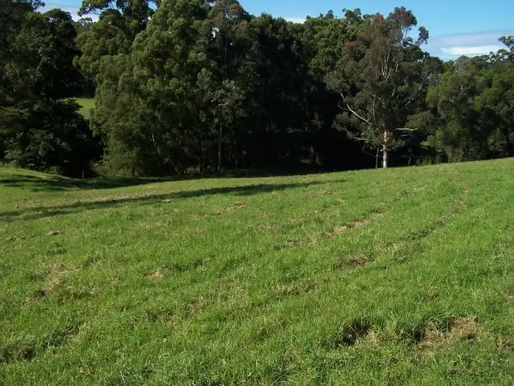 Third view of Homely rural property listing, 210 Wrights Lane, Dyers Crossing NSW 2429