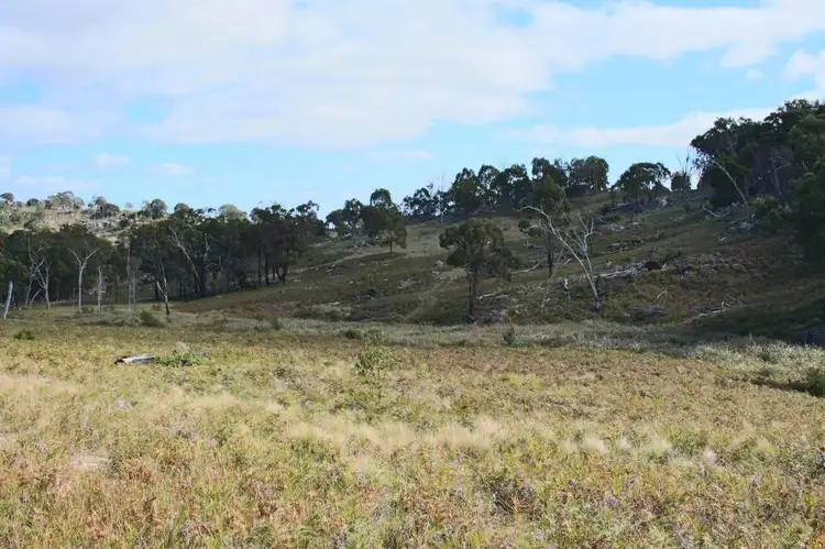 Fourth view of Homely rural property listing, 350 Gunyah Road, Tenterfield NSW 2372