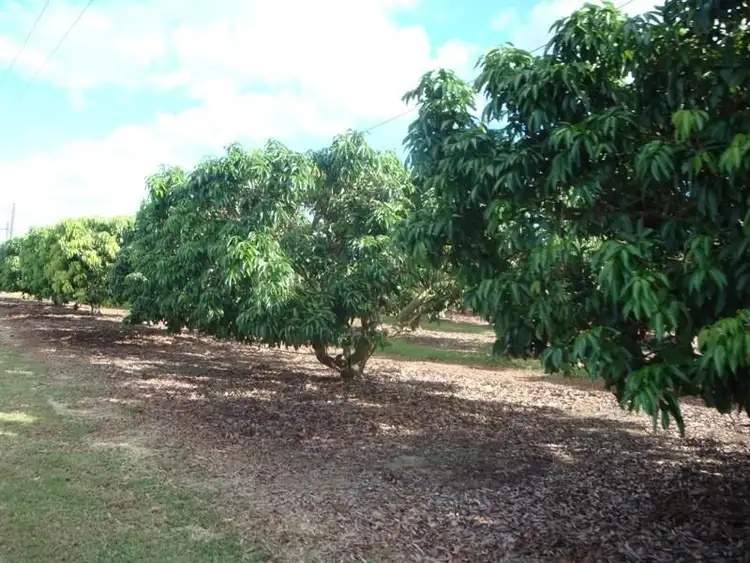 Third view of Homely rural property listing, Address available on request