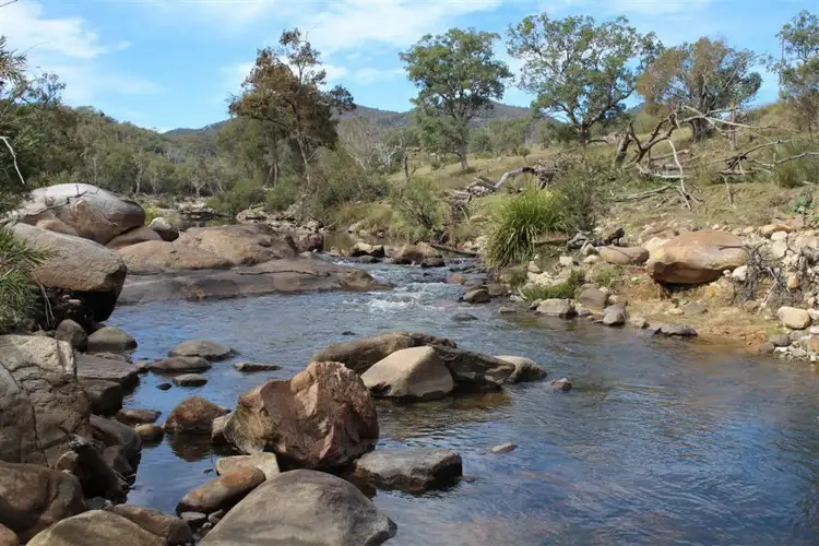 Seventh view of Homely rural property listing, 1759 Mount Mackenzie Road, Tenterfield NSW 2372