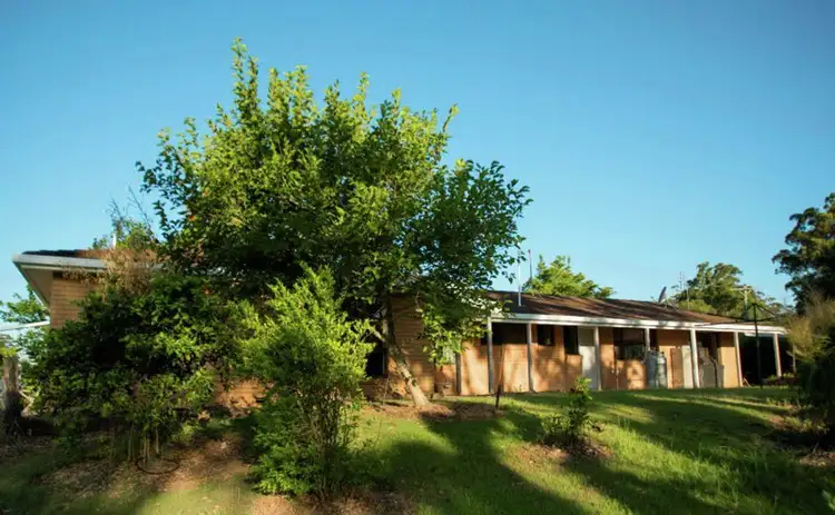 Second view of Homely rural property listing, 26 Wards Rd, Macksville NSW 2447