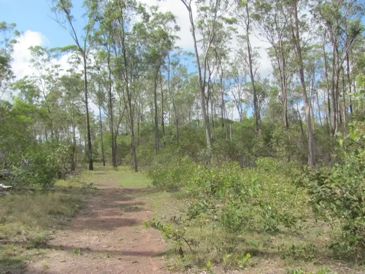 Seventh view of Homely rural property listing, Lot 5 Mollenhagen Road, Rosedale QLD 4674