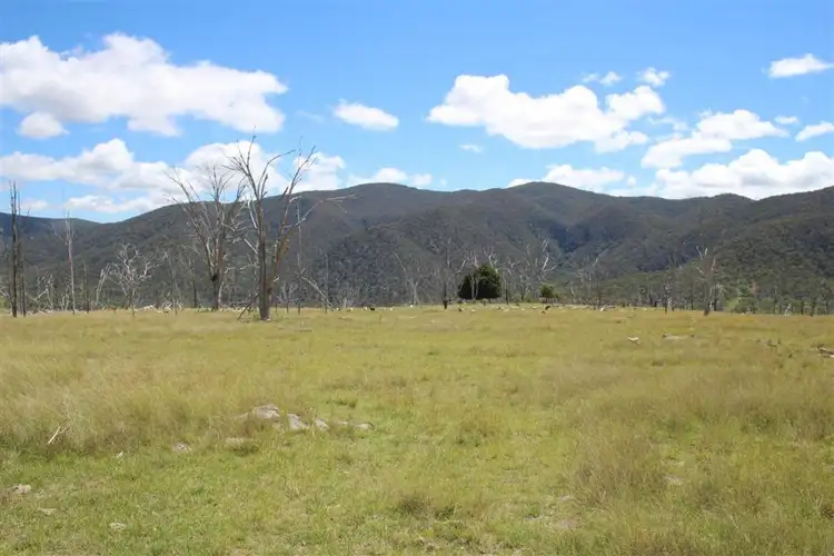 Fifth view of Homely rural property listing, 573 Bluff River Road, "Rastases", Tenterfield NSW 2372