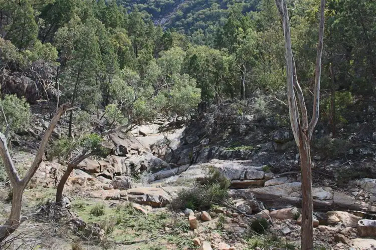 Sixth view of Homely rural property listing, 1759 Mount Mackenzie Road, Tenterfield NSW 2372