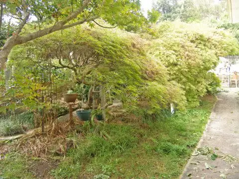 Sixth view of Homely house listing, 17 Jersey Street, Mount Colah NSW 2079