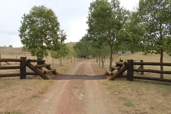 Second view of Homely rural property listing, 1471 Gundy Road, Scone NSW 2337