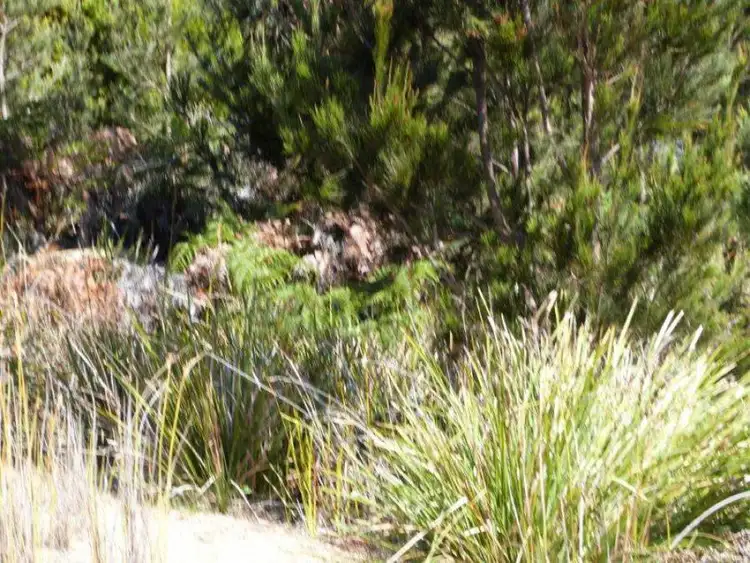 Sixth view of Homely land listing, Lot 2 Skeggs Avenue, White Beach TAS 7184