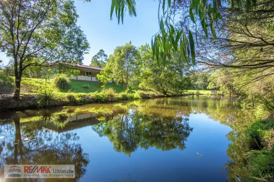 Main view of Homely rural property listing, 38 Forestcreek Place, Wamuran QLD 4512