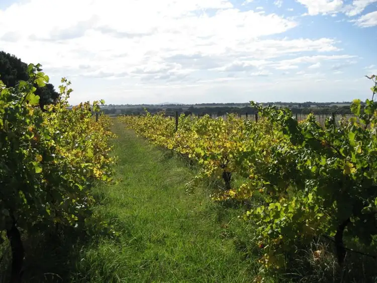 Third view of Homely rural property listing, 70 Feehans Road, Mount Duneed VIC 3216