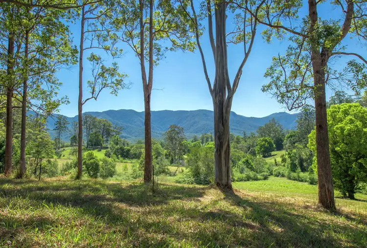 Lot 21, 605 Roses Road, Bellingen NSW 2454
