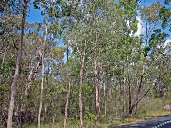 Third view of Homely rural property listing, 1906 George Downes Drive, Kulnura NSW 2250