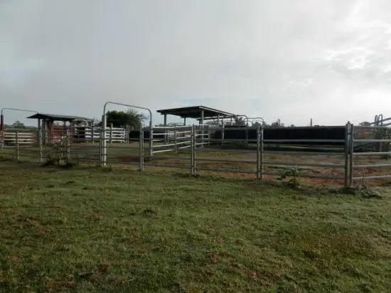 Sixth view of Homely rural property listing, 182 Plain Station Road, Tabulam NSW 2469