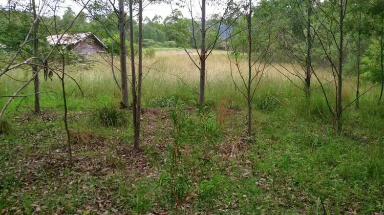 Second view of Homely rural property listing, AAA Blue Gum Road, Ellenborough NSW 2446