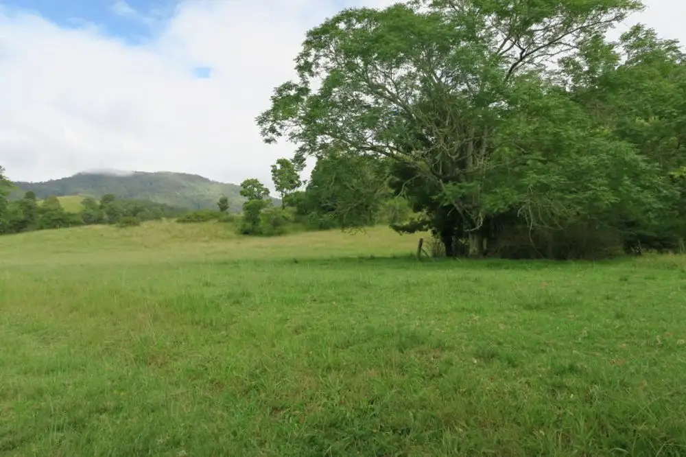 Main view of Homely rural property listing, Lot 1067 SHEET OF BARK RD,, Burrapine NSW 2447