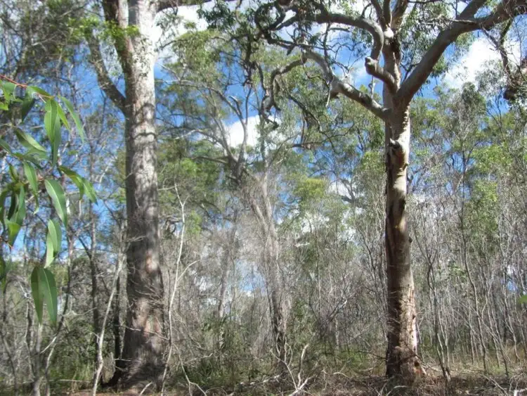 Fourth view of Homely rural property listing, Lot 7 Tableland Road, Mount Maria QLD 4674