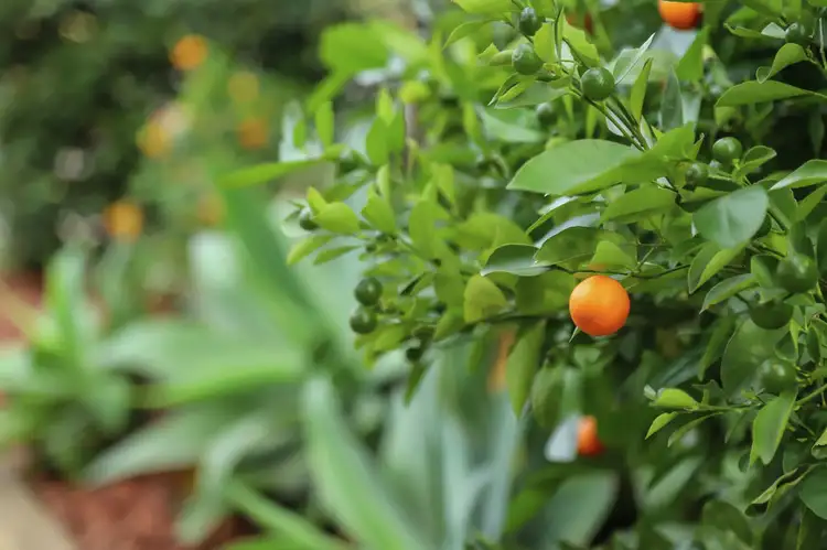 Third view of Homely house listing, 118 Hassall Street, Corinda QLD 4075