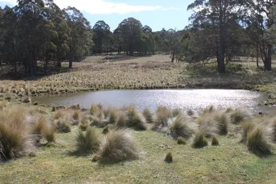 Main view of Homely rural property listing, Address available on request