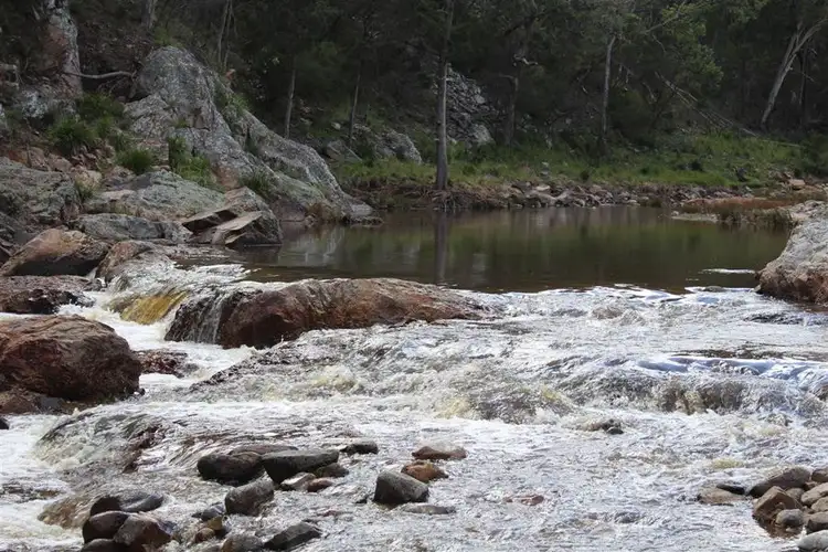 Sixth view of Homely rural property listing, 573 Bluff River Road, "Trout Hole", Tenterfield NSW 2372