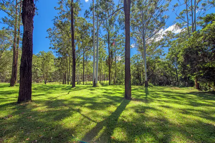 Fourth view of Homely rural property listing, 336 Blackbutt Road, Kremnos NSW 2460