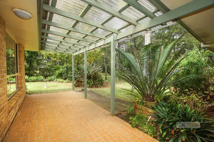 Third view of Homely house listing, 7 Pine Brush Crescent, Korora NSW 2450