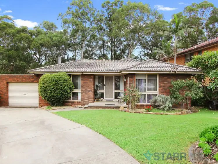 12 Burra Place, Greystanes NSW 2145