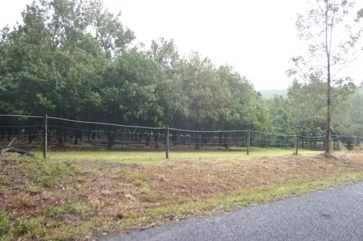 Second view of Homely rural property listing, 23 Boundary Road, Lindendale NSW 2480