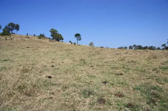 Sixth view of Homely rural property listing, Address available on request