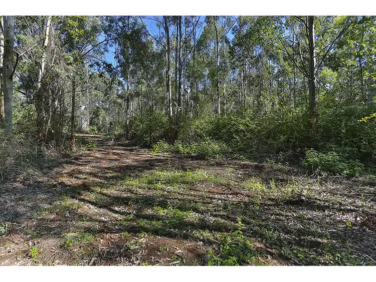 Fifth view of Homely land listing, 399/188 Hampton Road, Hampton QLD 4352