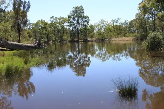 Fifth view of Homely rural property listing, 1 Glenalvon Upper Dartbrook Road, Scone NSW 2337