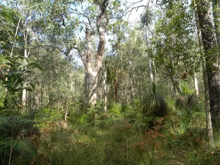 Seventh view of Homely rural property listing, 554 Capricornia Drive, Deepwater QLD 4674