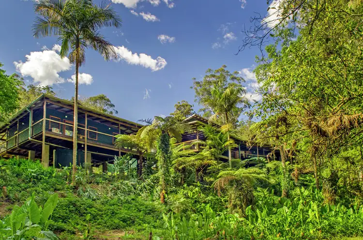 Second view of Homely house listing, 2000 Darkwood Road, Thora, Bellingen NSW 2454